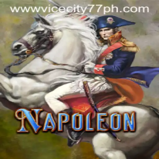 Napoleon: Enter the World of ViceCity77